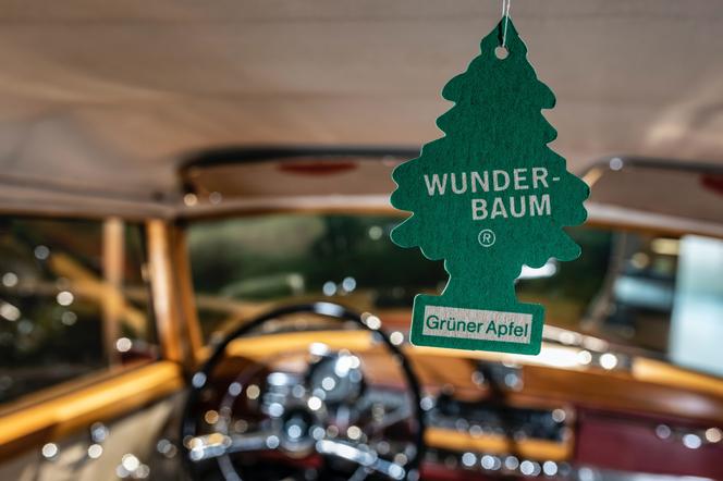 Choinka zapachowa Wunder-Baum
