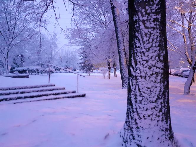 Kolejny atak zimy we Wrocławiu. Ale śniegu!