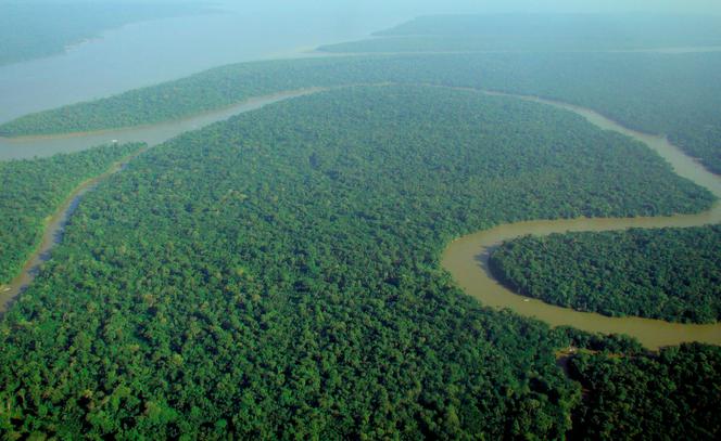 Amazonia