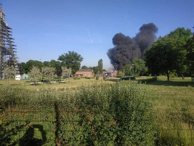 Pożar hali w Chorzowie