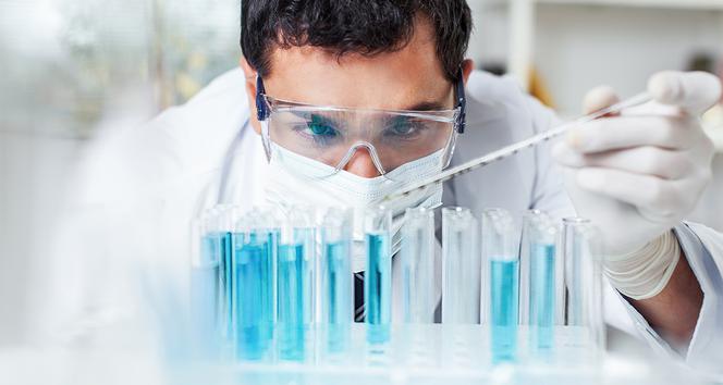 lab