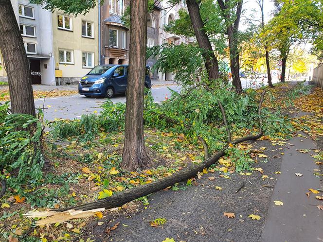 Dolnośląskie. Paraliż kolei i komunikacji miejskiej przez wichurę. Sprawdź, jakie są utrudnienia