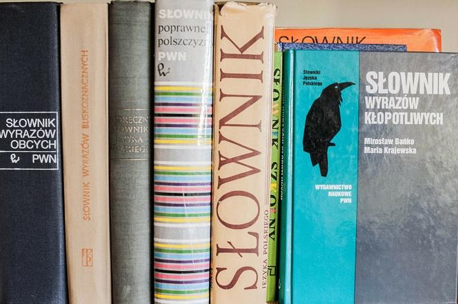 Słowo Roku 2020 - WYNIKI. Jakie słowo wygrało? Co oznacza słowo roku?