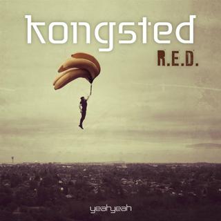 Kongsted - R.E.D. (Radio Edit)