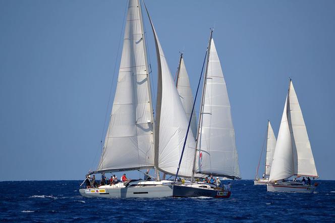 Regatta Build Cup 2019