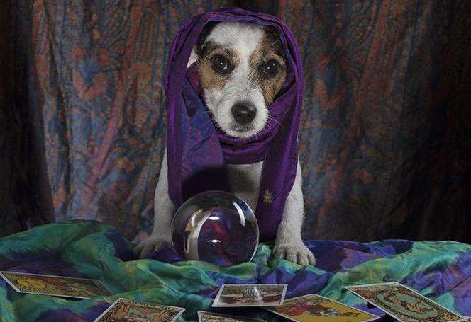 Horoskop