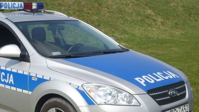 Pijany ojciec wiózł córkę i syna. Doszło do STRASZNEGO WYPADKU!