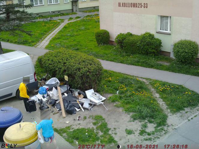 Zdjęcie z fotopułapki - Straż Miejska w Koszalinie