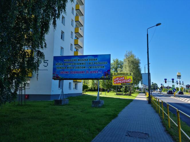 Tarnowskie Góry: Piękna akcja mieszkańców! Wielki billboard: Lucyno, dziękujemy!