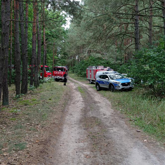Kujawsko-pomorskie: Ogromna akcja poszukiwawcza w lesie! Zaskakujący finał