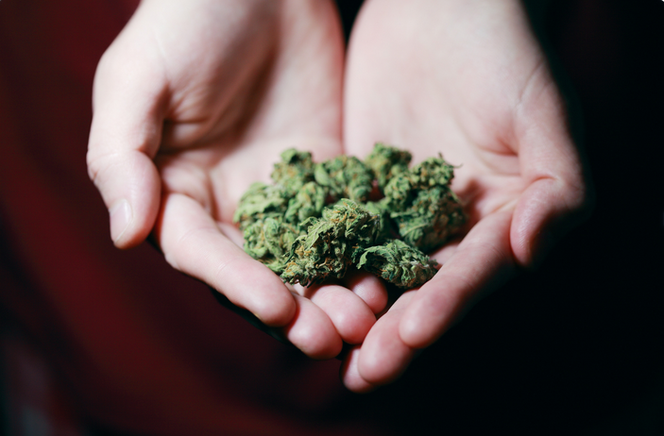 Marihuana