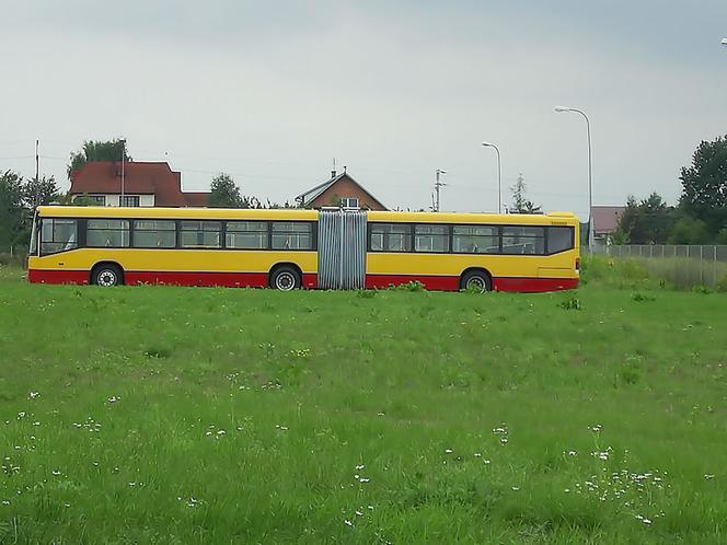 Autobus