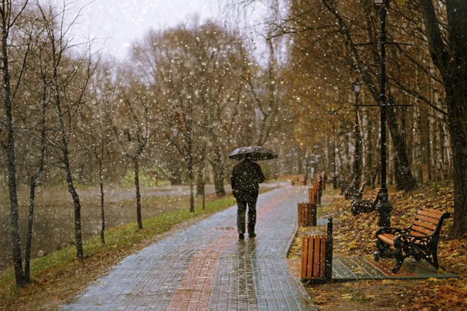 Prognoza pogody Zima 2019