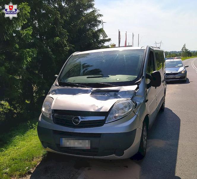 Drzewo spadło na przejeżdżającego busa