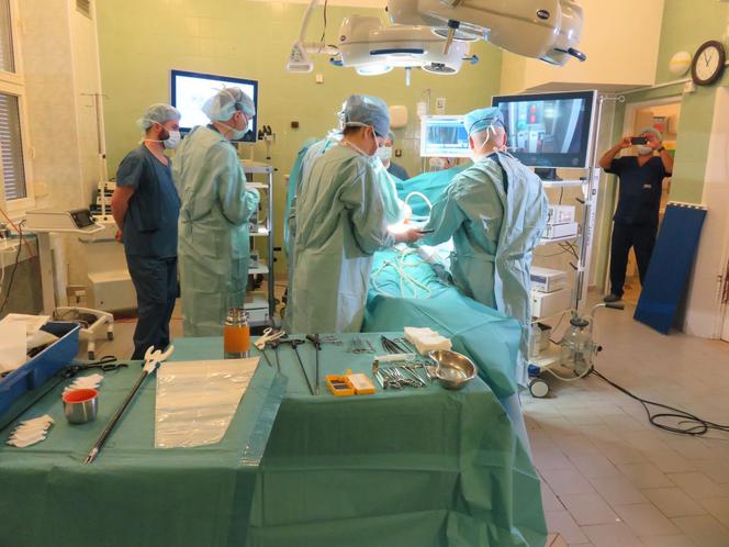 Rewolucja w kieleckim szpitalu! Lekarze będą przeszczepiać nerki!