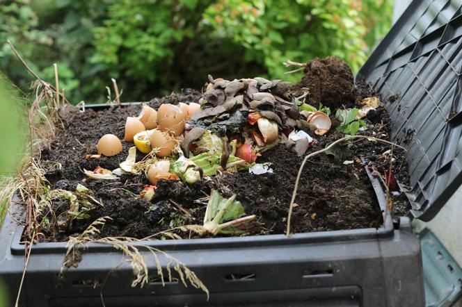 Kompost naturalny nawóz do ogrodu Dlaczego warto używać kompostu