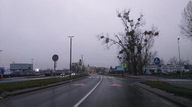 Uwaga Toruń! Będą nowe fotoradary na terenie miasta