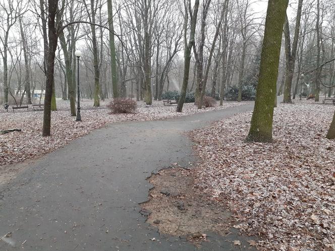 Park Miejski Aleksandria w Siedlcach może wreszcie doczekać się długo oczekiwanych prac remontowych