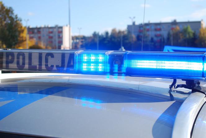 Rzeszów. Marihuana w piwnicy bloku. 20-latkowi grozi nawet 10 lat więzienia