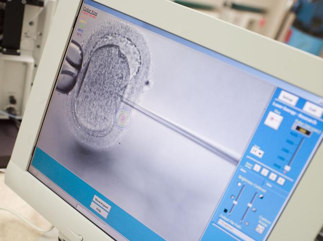 Ustaw o in vitro
