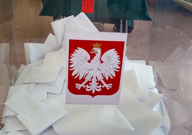 Oficjalne wyniki wyborów PKW - okręg 13