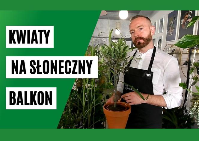 kwiaty na balkon