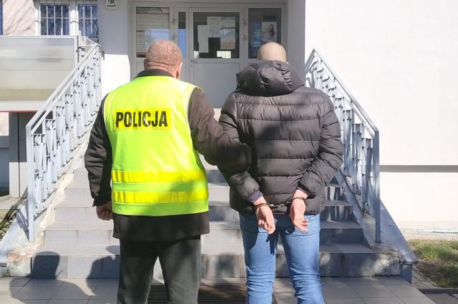 Mieszkaniec Fordonu w mieszkaniu uprawiał konopie indyjskie