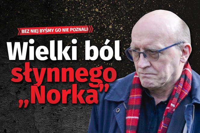 zajawka NOREK