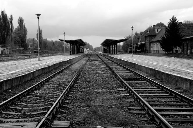 Płock. Szynobus potrącił człowieka! Ciało tak zmasakrowane, że nie można potwierdzić, kim była ofiara