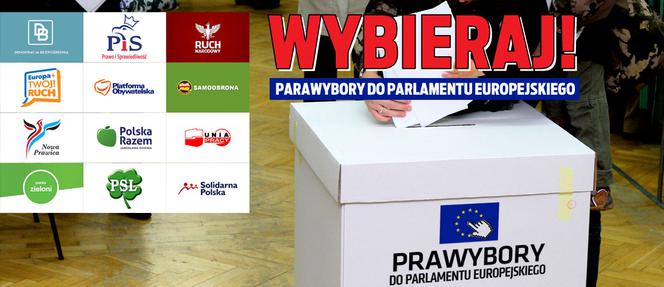 Prawybory do parlamentu europejskiego