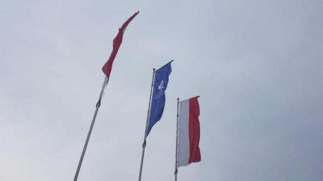 GRUBA AFERA na uczelni! Wykładowcy nie wyłączyli mikrofonu. Wszystko WYSZŁO NA JAW