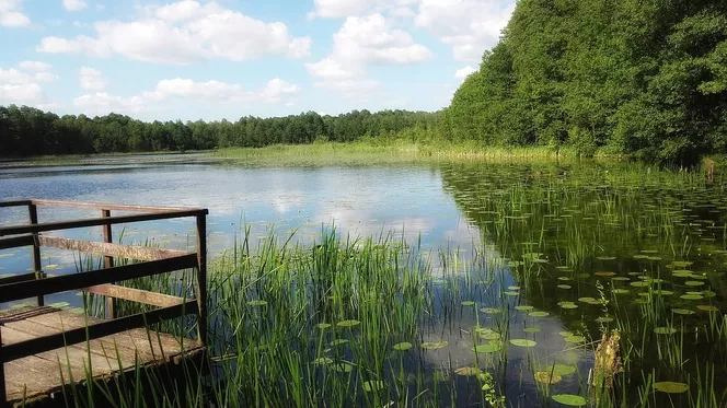 Jezioro / Wielkopolska