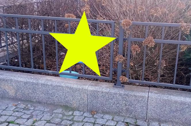 Sposób na mistrzów parkowania