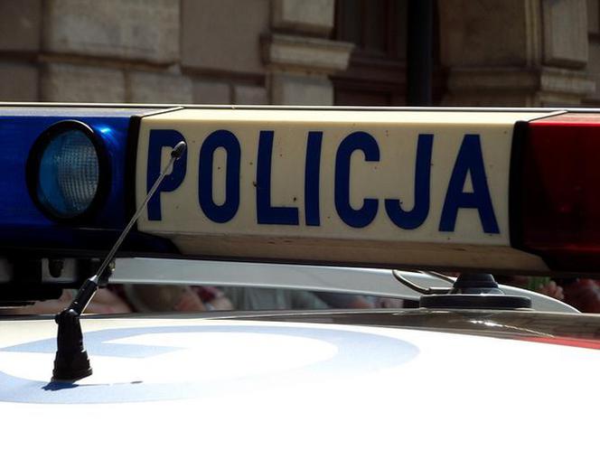 policja