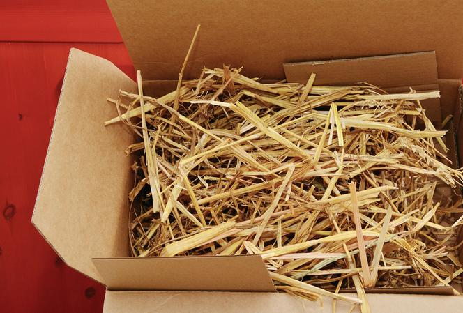 Cieszyn. W przesyłce do zakładu karnego była marihuana
