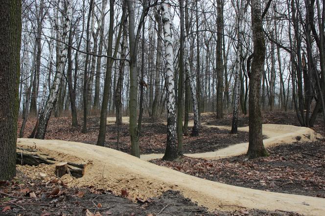 kolarstwo górskie_singletrack