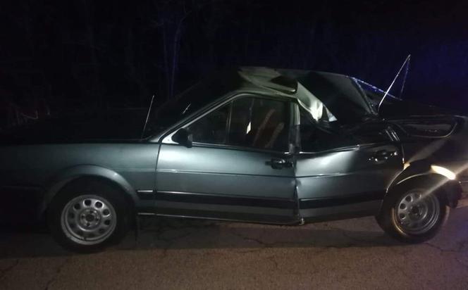 Jechał Passatem złamanym na pół! Auto zostało przygniecione przez drzewo