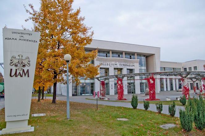 Źródło: www.gniezno.eu