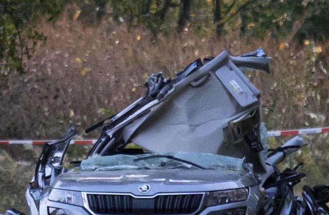 Pojechali na spacer z psem. Wszyscy nie żyją