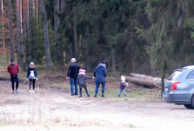 Zakaz wstępu do lasów na Podlasiu. Ma to pomóc w walce z koronawirusem
