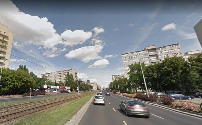 Palm na Legnickiej nie będzie, będą lipy
