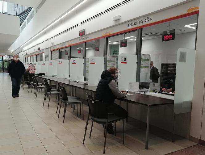 Wirtualne kolejki straszą mieszkańców a w urzędach pusto