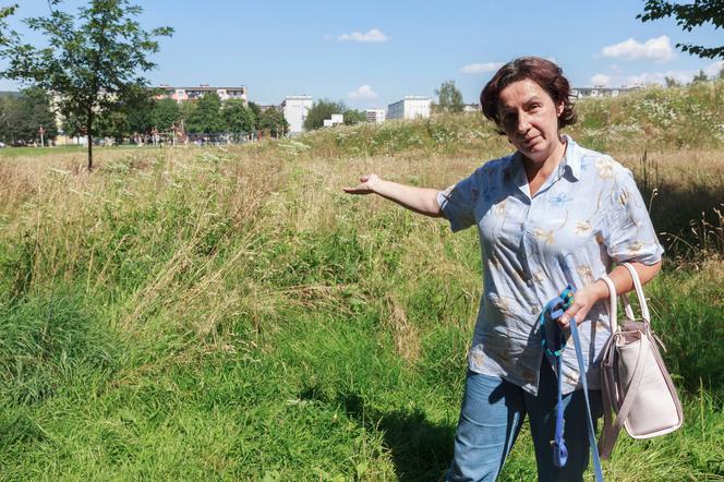Małgorzata Giniowiec i barszcz sosnowskiego
