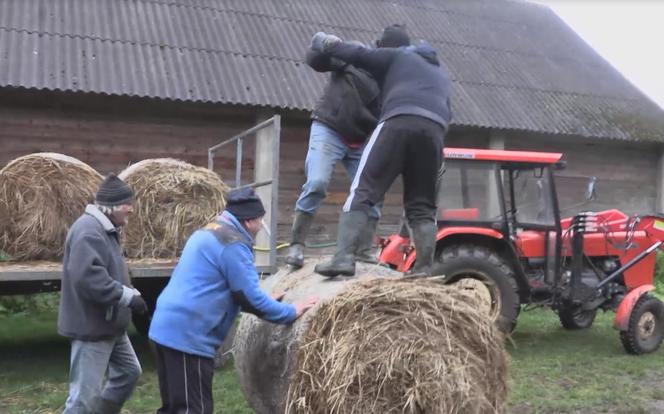 Rolnicy Podlasie W Plutyczach Jak W Cyrku Ale Jaja Ch Opaki Z