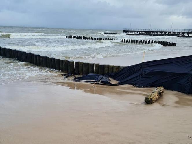 PRZERAŻAJĄCE odkrycie na plaży w Kołobrzegu! Policjanci byli wstrząśnięci! Zwłoki w stanie totalnego ROZKŁADU