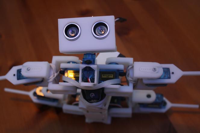 Uczniowie rzeszowskich podstawówek zrobią roboty, które dotrą na Marsa