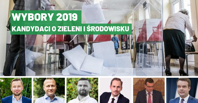Wybory 2019. Czołowi politycy o zieleni