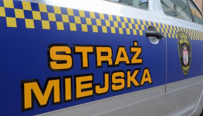 Radom: Zmarł na ulicy Piłsudskiego. Strażnicy miejscy walczyli o życie mężczyzny