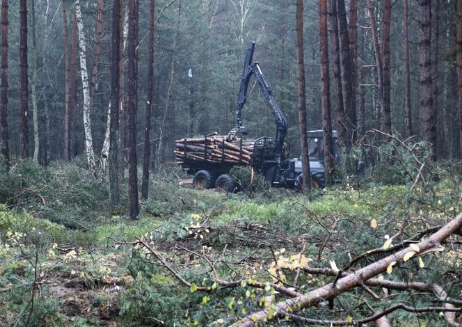 Ruszają prace przy budowie tulelu pod Świną