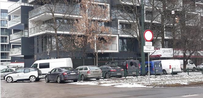 Dziki parking